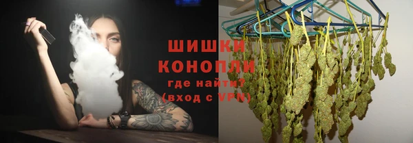 дмт Арсеньев