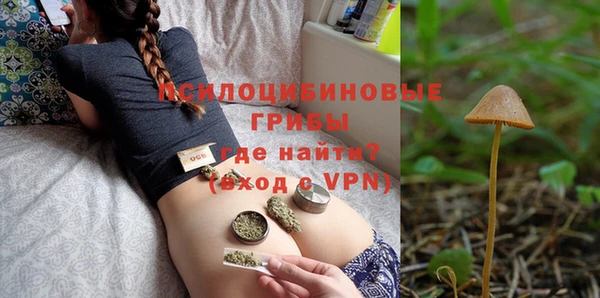 гидра Аркадак