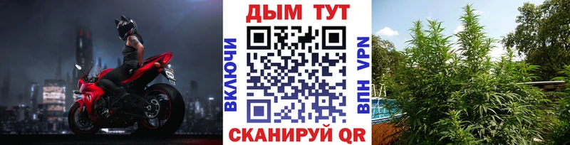 Каннабис OG Kush Балабаново